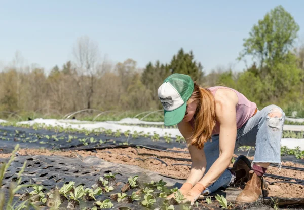 zoe-schaeffer-D_VjFp1ds1Y-unsplash